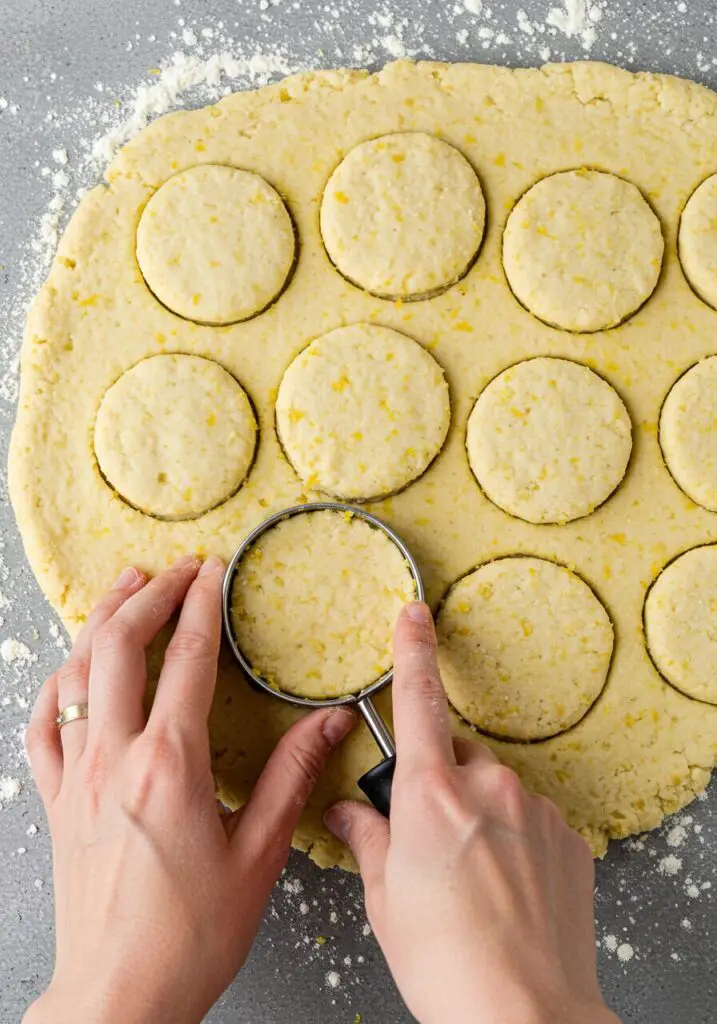 Blueberry Cobbler Recipe
