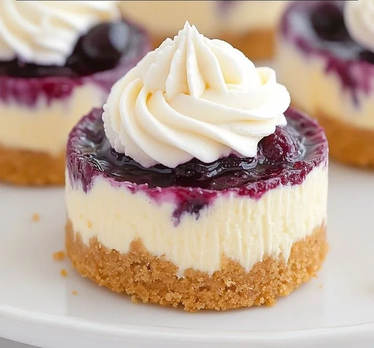 Healthy mini lemon blueberry cheesecakes with fresh blueberries and lemon zest