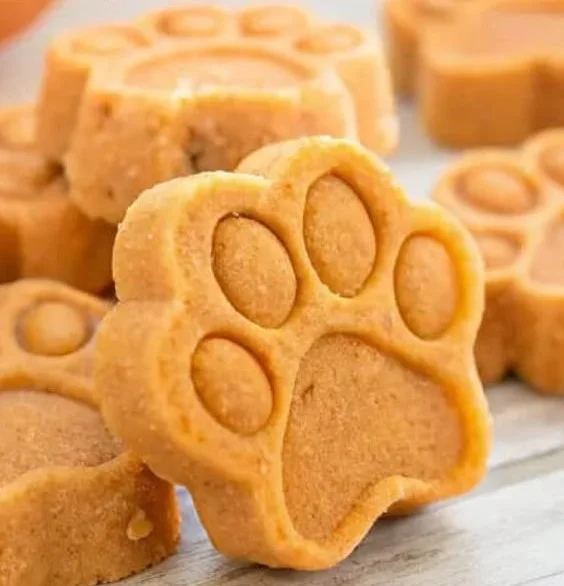 Homemade pumpkin applesauce dog treats for healthy pet snacks
