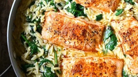 One Skillet Salmon served with Lemon Orzo in a vibrant dish